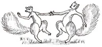 Two squirrels dancing